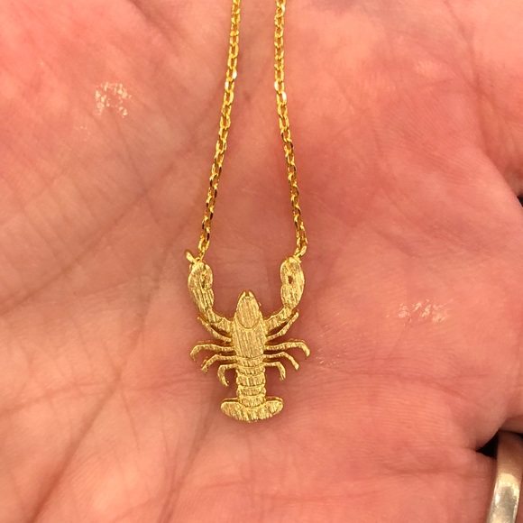 Jewelry Dainty Lobster Necklace Poshmark